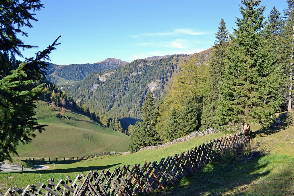 Guest house Berggasthof Steckholzer *
